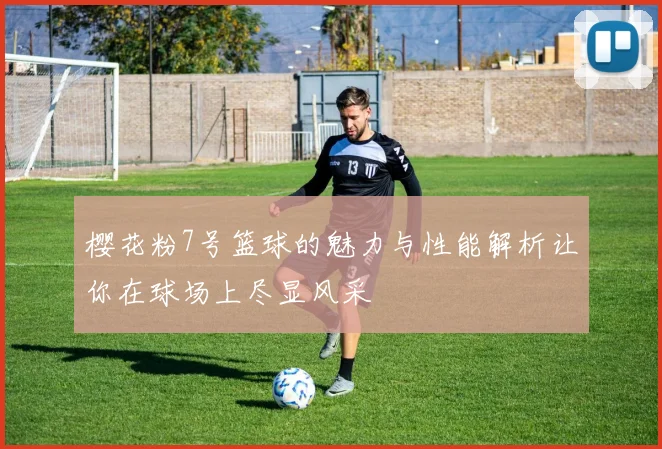 樱花粉7号篮球的魅力与性能解析让你在球场上尽显风采