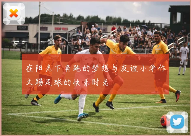 在阳光下奔跑的梦想与友谊小学作文踢足球的快乐时光