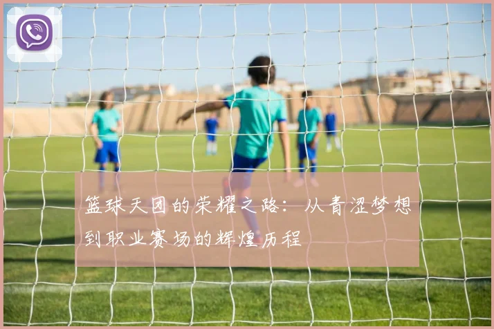 篮球天团的荣耀之路:从青涩梦想到职业赛场的辉煌历程