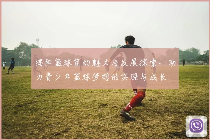 揭阳篮球筐的魅力与发展探索,助力青少年篮球梦想的实现与成长