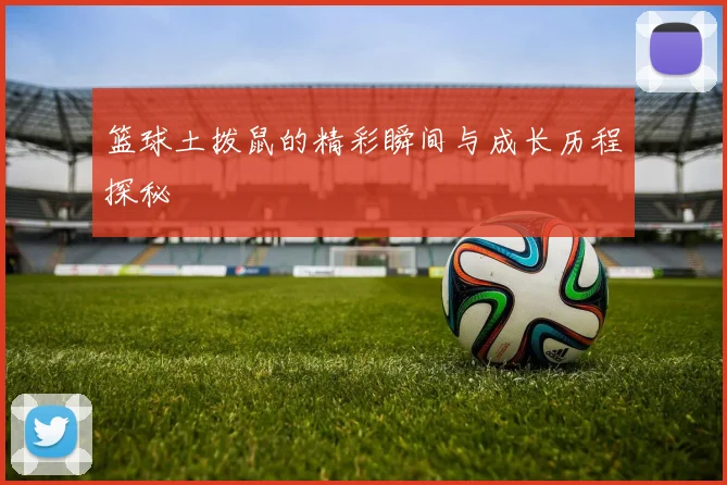 篮球土拨鼠的精彩瞬间与成长历程探秘